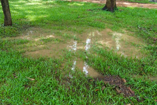 Storm Water Drainage Service in Mount Juliet