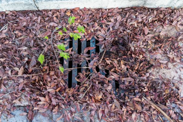 Yard Drain Unclogging in Mount Juliet