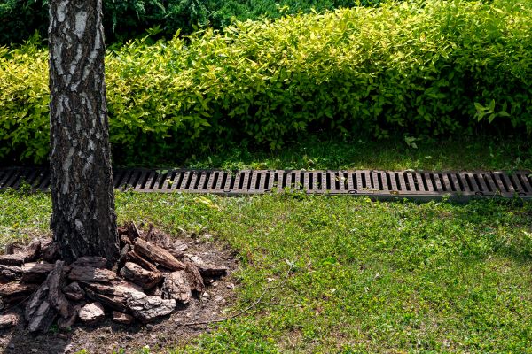 Cost of Wet Yard Drainage in Mount Juliet