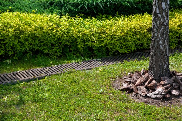 Cost of Residential Landscape Drainage in Mount Juliet
