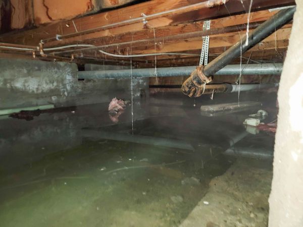 Cost of Crawlspace Drainage in Mount Juliet