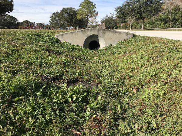 Cost of Swale Drainage Service in Mount Juliet
