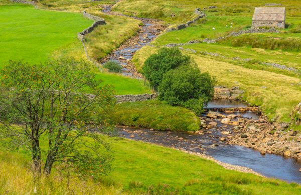 Cost of Swale Repair in Mount Juliet